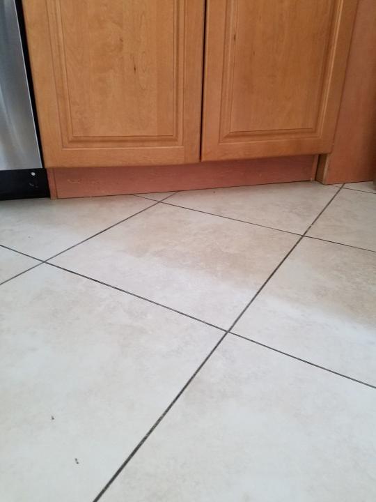 Tile and Grout Cleaning 