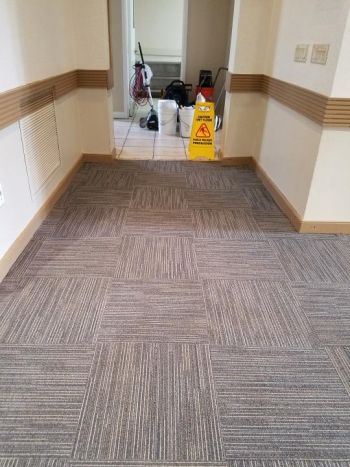 Commercial carpet cleaning in Dania, FL
