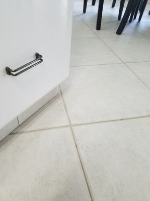Tile & Grout Cleaning in Fort Lauderdale, FL (2)