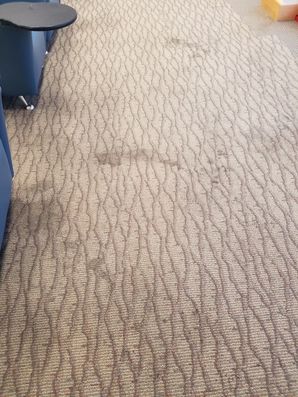 Before & After Commercial Carpet Cleaning in Fort Lauderdale, FL (2)