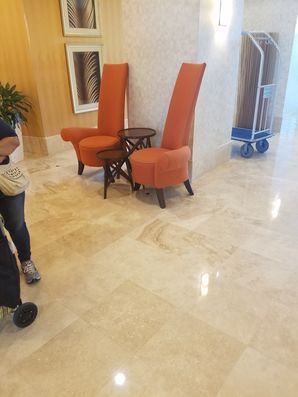Upholstery Cleaning in Oakland Park, FL (1)