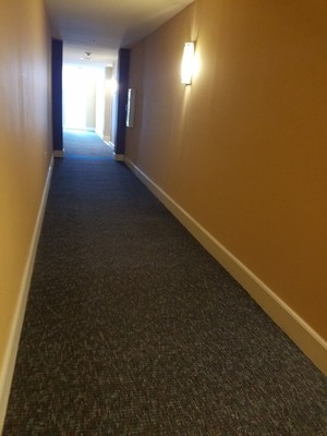 Before, During & After Commercial Carpet Cleaning in Plantation, FL (3)