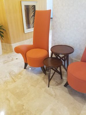 Upholstery Cleaning in Oakland Park, FL (2)