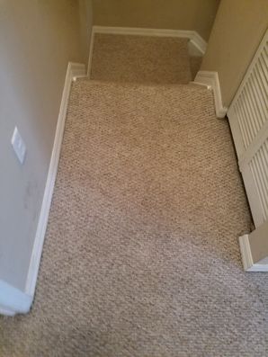 Before & After Carpet Stain Removal in Hollywood, FL (2)