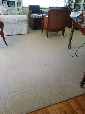 Before & After Carpet Stain Removal in Fort Lauderdale, FL (2)