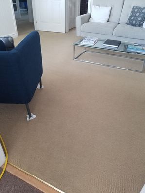 Before & After Carpet Cleaning in Fort Lauderdale, FL (2)