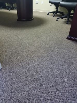 Carpet Cleaning in Tamarac, FL (1)