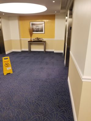 Commercial Carpet Cleaning in Pompano Beach, FL (2)