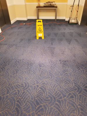 Commercial Carpet Cleaning in Pompano Beach, FL (3)