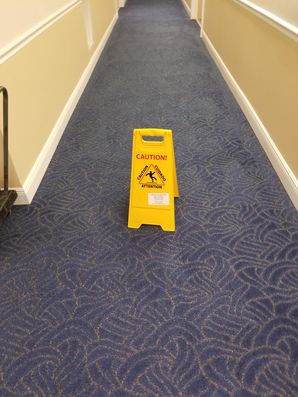 Commercial Carpet Cleaning in Pompano Beach, FL (4)
