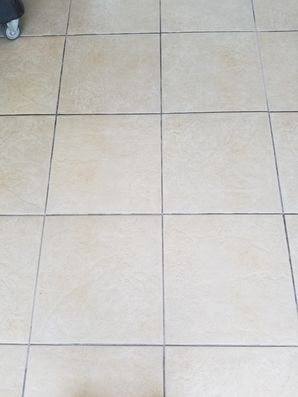Tile and Grout Cleaning in Wilton Manors, FL (1)