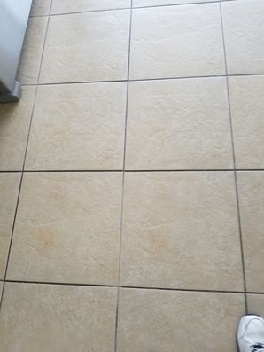 Tile and Grout Cleaning in Wilton Manors, FL (2)