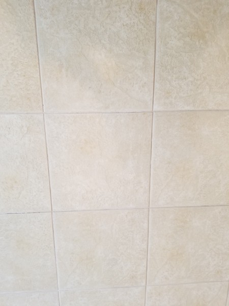 Tile and Grout Cleaning in Wilton Manors, FL (3)