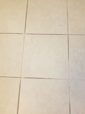 Before & After Tile and Grout Cleaning in Palm Beach, FL (1)