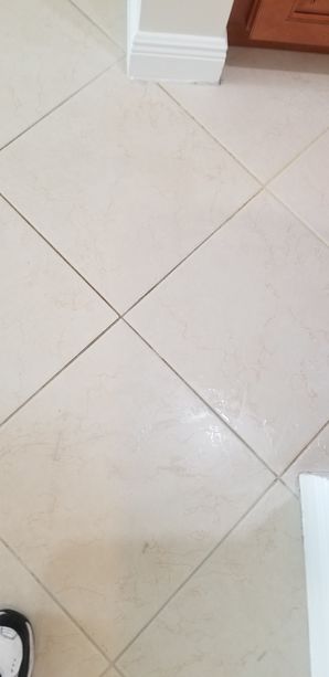 Before & After Tile & Grout Cleaning in Pompano Beach, FL (1)