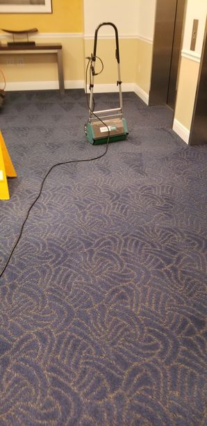 Dry Commercial Carpet Cleaning in Fort Lauderdale, FL (1)