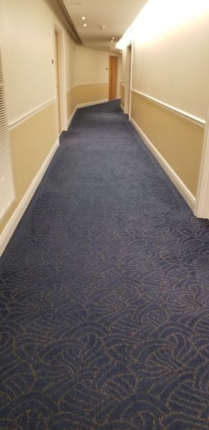 Dry Commercial Carpet Cleaning in Fort Lauderdale, FL (3)