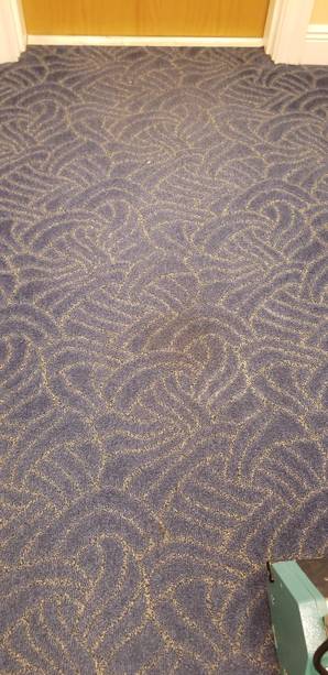 Dry Commercial Carpet Cleaning in Fort Lauderdale, FL (4)