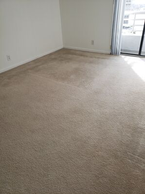 Before & After Carpet Cleaning & Sanitizing in Adventura, FL (4)