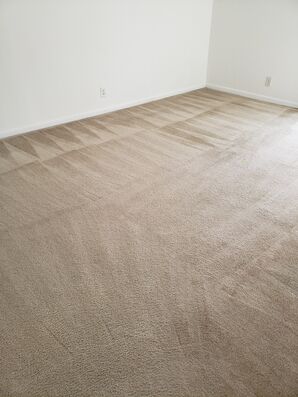 Before & After Carpet Cleaning & Sanitizing in Adventura, FL (3)