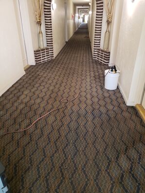 Commercial Carpet Cleaning in Pompano, FL (1)