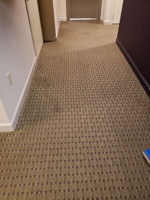 Commercial Carpet Cleaning & Sanitizing in Fort Lauderdale, FL (4)