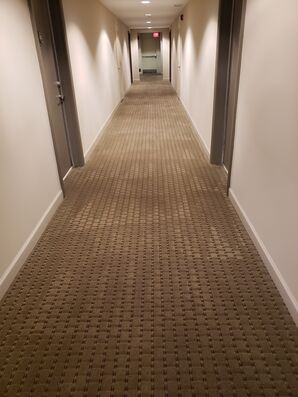 Commercial Carpet Cleaning & Sanitizing in Fort Lauderdale, FL (5)