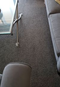 Before & After Carpet Stain Removal in Hollywood, FL (2)