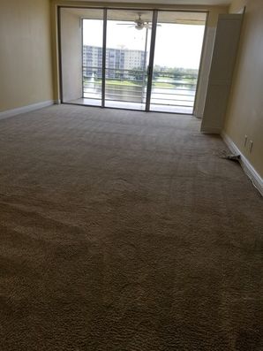 Before & After Carpet Cleaning in Pompano Beach, FL (5)