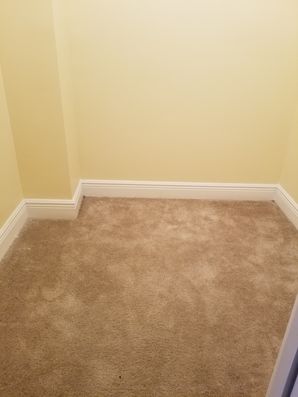 Before & After Carpet Cleaning in Pompano Beach, FL (1)