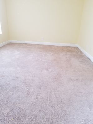 Before & After Carpet Cleaning in Pompano Beach, FL (4)