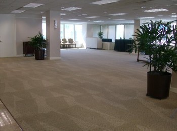 Commercial Carpet Cleaning in Fort Lauderdale, FL