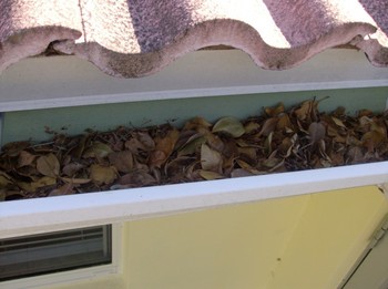 Before Gutter Cleaning in Fort Lauderdale, FL