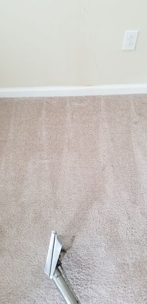 Before & After Carpet Cleaning & Sanitizing in Cooper City, FL (2)