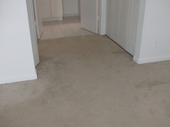 Before & After Carpet Cleaning