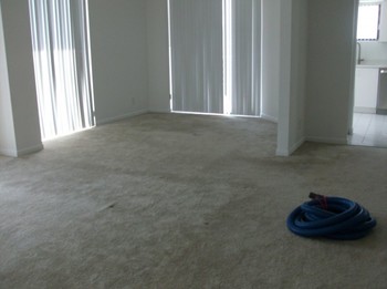Before & After Carpet Cleaning 