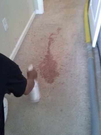 Carpet with coffee stain