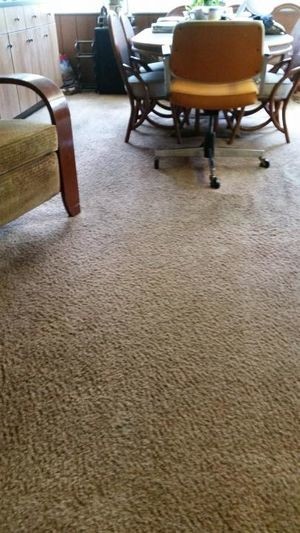 after carpet cleaning cowell