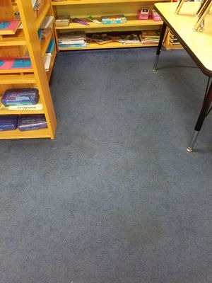 Before & After Carpet Stain Removal by Cowell's Carpet Cleaning, Inc. (1)