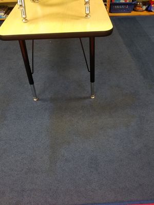 Before & After Carpet Stain Removal by Cowell's Carpet Cleaning, Inc. (3)