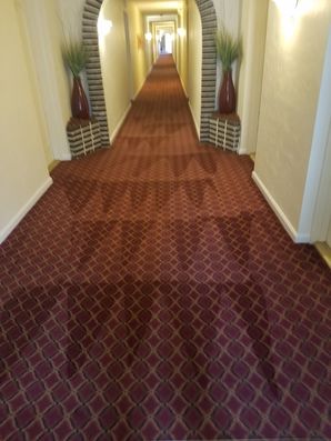 Before & After Carpet Cleaning in Fort Lauderdale, FL (2)