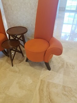 Upholstery Cleaning in Oakland Park, FL (3)