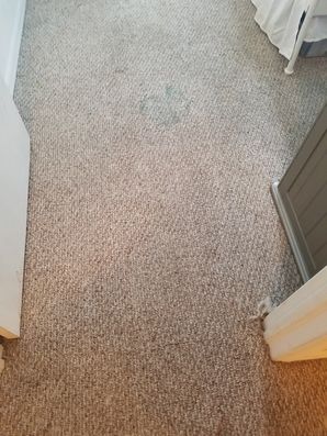 Before & After Carpet Stain Removal in Hollywood, FL (4)