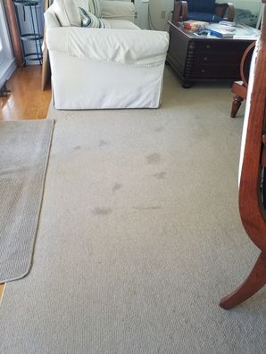 Before & After Carpet Stain Removal in Fort Lauderdale, FL (1)