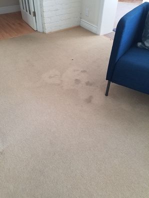 Before & After Carpet Cleaning in Fort Lauderdale, FL (1)