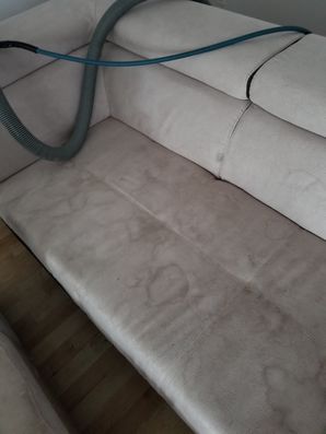 Before & After Upholstery CLeaning in Weston, FL (1)
