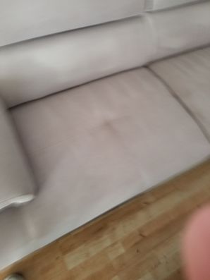 Before & After Upholstery CLeaning in Weston, FL (2)