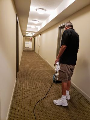 Commerical Carpet Cleaning in Opa Locka, FL (2)