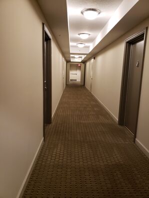 Commercial Carpet Cleaning in Ft. Lauderdale, FL (1)