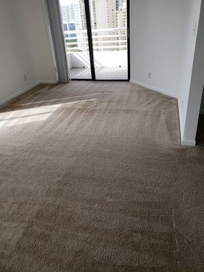 Before & After Carpet Cleaning & Sanitizing in Adventura, FL (1)
